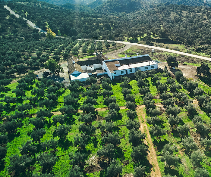 Finca Adamuz